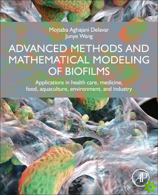 Advanced Methods and Mathematical Modeling of Biofilms