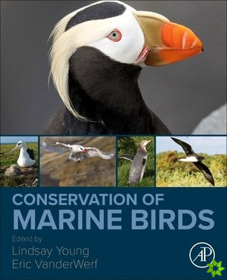Conservation of Marine Birds