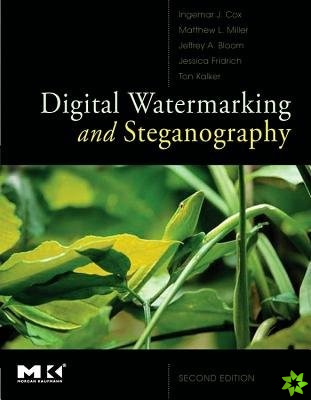 Digital Watermarking and Steganography