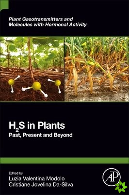 H2S in Plants