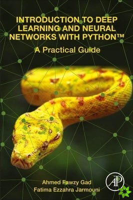 Introduction to Deep Learning and Neural Networks with Python (TM)