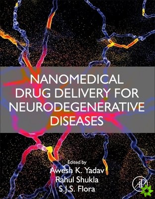 Nanomedical Drug Delivery for Neurodegenerative Diseases