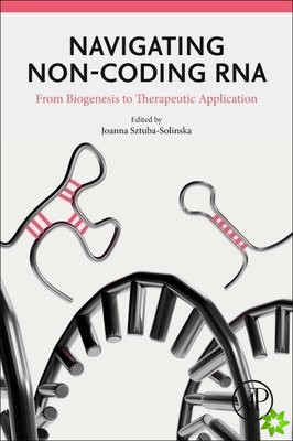 Navigating Non-coding RNA