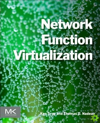 Network Function Virtualization