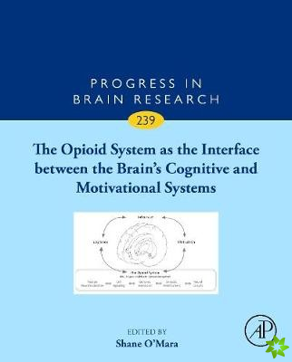 Opioid System as the Interface between the Brains Cognitive and Motivational Systems