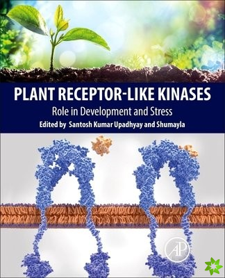 Plant Receptor-Like Kinases