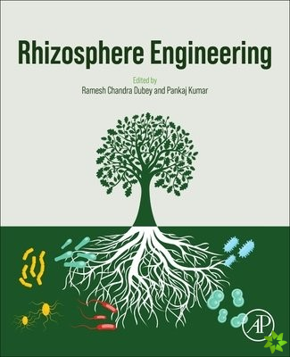 Rhizosphere Engineering