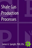 Shale Gas Production Processes