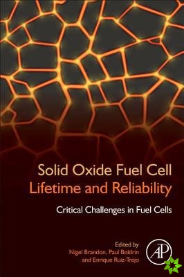 Solid Oxide Fuel Cell Lifetime and Reliability