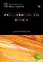 Well Completion Design