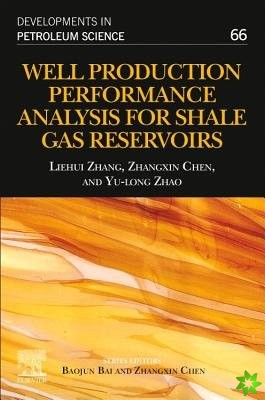 Well Production Performance Analysis for Shale Gas Reservoirs