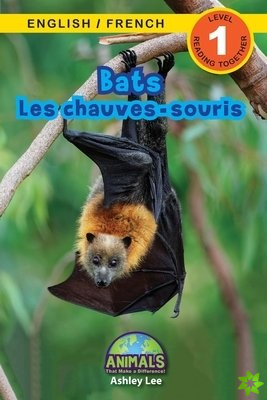 Bats / Les chauves-souris
