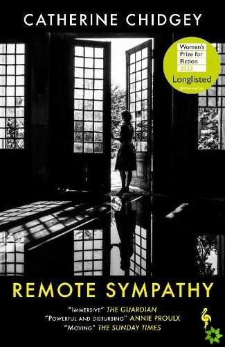 Remote Sympathy: LONGLISTED FOR THE WOMEN'S PRIZE FOR FICTION 2022