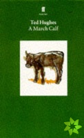 March Calf