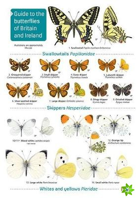 Guide to the butterflies of Britain and Ireland