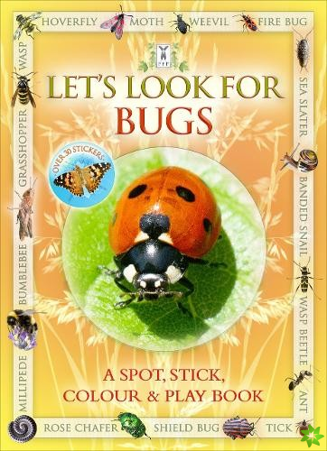 Let's Look for Bugs