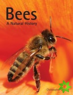 Bees: A Natural History