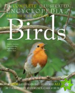 Complete Illustrated Encyclopedia of British Birds