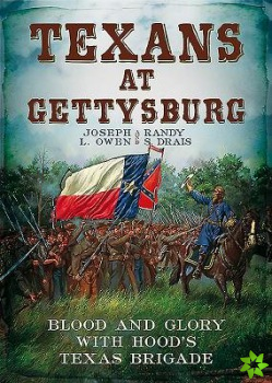 Texans at Gettysburg