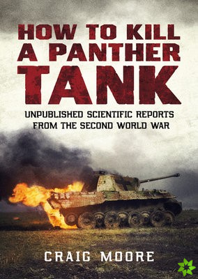 How to Kill a Panther Tank