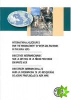 International guidelines for the management of deep-sea fisheries in the high seas