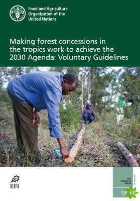 Making forest concessions in the tropics work to achieve the 2030 Agenda