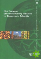 Pilot testing of GBEP sustainability indicators for bioenergy in Colombia