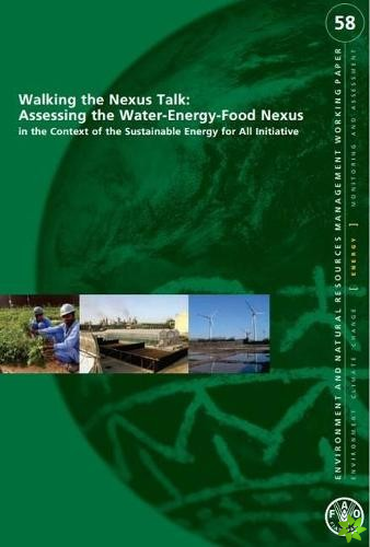 Walking the nexus talk