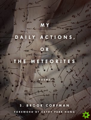 My Daily Actions, or The Meteorites