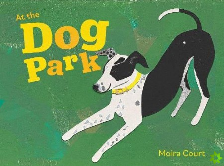 At the Dog Park