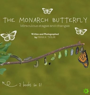 Monarch Butterfly and The Cecropia Moth