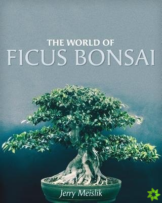 World of Ficus Bonsai