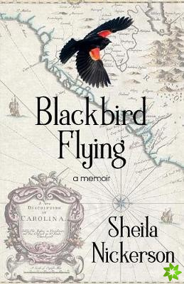 Blackbird Flying