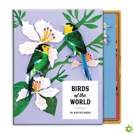 Birds of the World Greeting Card Assortment