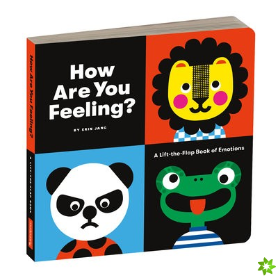 How Are You Feeling Board Book