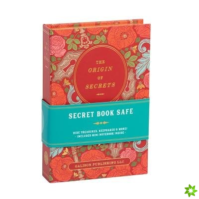 Origin Of Secrets Book Safe