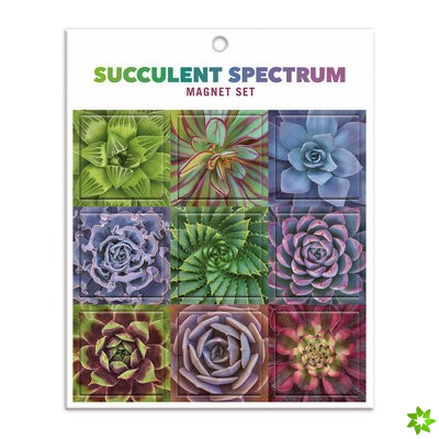 Succulent Spectrum Magnet Set