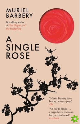 Single Rose