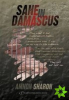 Sane in Damascus