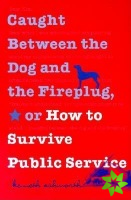 Caught Between the Dog and the Fireplug, or How to Survive Public Service