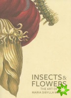 Insects and Flowers  The Art of Maria Sibylla Merian