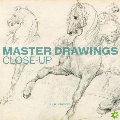 Master Drawings Close-Up