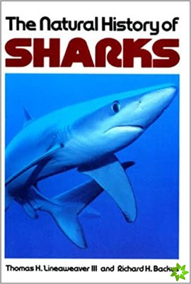 Natural History of Sharks