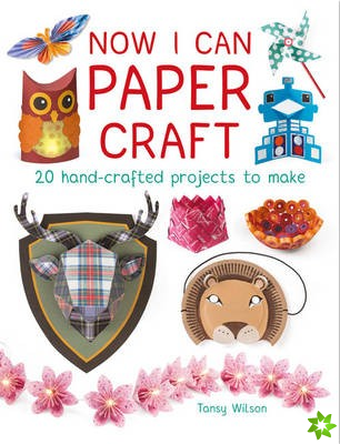 Now I Can Paper Craft: 20 Hand-Crafted Projects to Make