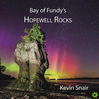 Bay of Fundy's Hopewell Rocks
