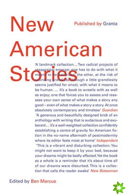 New American Stories