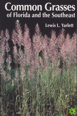Common Grasses of Florida & The Southeast