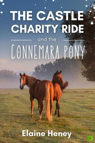 Castle Charity Ride and the Connemara Pony - The Coral Cove Horses Series