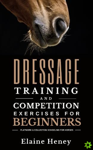 Dressage training and competition exercises for beginners