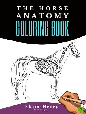 Horse Anatomy Coloring Book For Adults